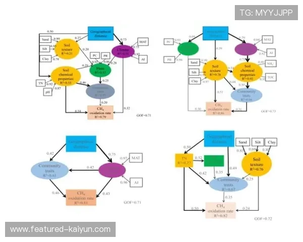 创新型付费墙模式探索体育内容直接变现新路径。